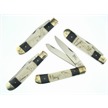 CCN-24068 TRAPPING NATURE (4PCS) [Steel Warrior • Pocket Knives • Wildlife Series]