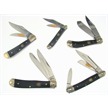 CCN-24331 BUFFALO BEST (5PCS) [Frost Family • Tacticals]