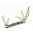 CCN-28953 ABALONE KENTUCKY 5-BLD (1PC) [Stag USA • Pocket Knives]