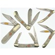 CCN-29253 NEW LADY WARRIORS (5PCS) [Lady Warrior • Pocket Knives]