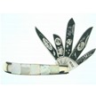 CCN-33070 WEEKEND SPECIAL (1PC) [Beaver Creek • Pocket Knives • Premium Knives]