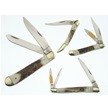 CCN-36249 TROPHY STAG PLUS (4PCS) [Trophy Stag • Pocket Knives • Premium Knives]