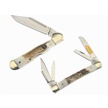 CCN-37389 STAG TROPHYS (2PCS) [Trophy Stag • Pocket Knives]