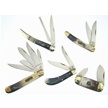 CCN-38506 OX HORN BARN BURNER (5PCS) [Ocoee River Cutlery • Pocket Knives]