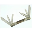 CCN-38726 SIX BLADE STAG SPOTLIGHT (1PC) [Whitetail Cutlery • Pocket Knives]