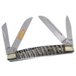 CCN-39066 COBRA SKIN CONGRESS (1PC) [Steel Warrior • Pocket Knives]