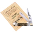 CCN-FI13170 SQUIRREL BRADY STAG TRPR (1PC) [Trophy Stag • Pocket Knives]