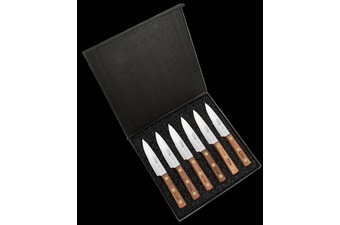 Case 6-Piece.Steak Knife Set #10sc