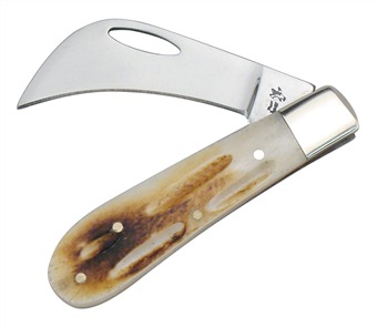 2.75" Second Cut Little Hawkbill