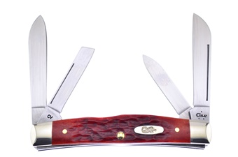 3.625" Case Chestnut Bone Congress