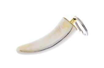 2.5" Arno Bernard Warthog Tusk Keychain