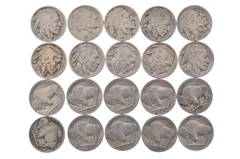 20 Pack Buffalo Nickel