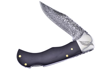 3.75" Buffalo Horn Stainless Steel Etch Blade Folder