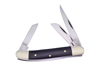 Cape Buffalo Horn Range Rider