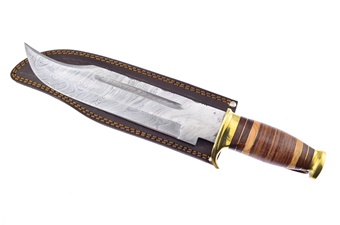 Deal Of The Day (1pc)