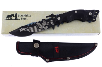 America 250th Anniversary. (1pc)