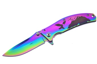 4.25" Eagle Rainbow Titanium Folder