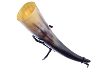 13" Medieval Ox Drinking Horn