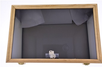 12x18 Oak Display Black