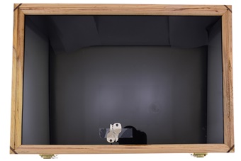 12x18 Maple Display Black