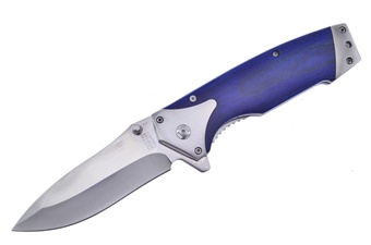 5"Closed Stainless Steel Blue Inlay Assisted Open