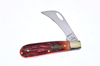 2.75" Chestnut Jigged Bone Little Hawkbill