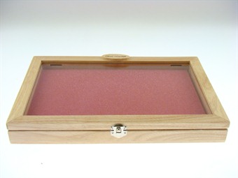 Molded Steel Warrior Disp