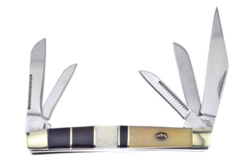 3.5" White Smoothbone/Ox Horn/Cape Buffalo Horn Kentucky 5-Blade