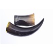 230981 - Viking Horn Cup w/Stand (1pc)