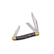 CCN-04275 - Show Sample Cape Buffalo Horn Copper Bolsters Wrangler(1)