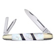 CCN-06489 - Show Sample Black Onyx/Mother Of Pearl Whittler (1pc)