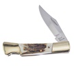 CCN-070280 - Deer Stag Steel Warrior Barracuda