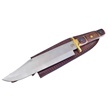 CCN-070547 - Torch Bone & Rose Wood Stainless Steel Bowie