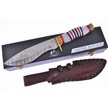 CCN-070645 - Bone Edge Damascus Bowie