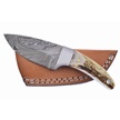 CCN-07764 - Show Sample Stag Damascus Skinner (1pc)