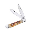 CCN-080908 - Show Sample Sec Cut Bone Stainless Steel Blstr Trapper