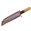 CCN-090255 - Olive & Walnut Wood Damascus Bowie