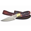CCN-090791 - Show Sample Brown Bone Stainless Steel Skinner