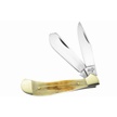 CCN-090833 - Second Cut Bone Little Saddlehorn