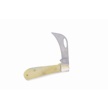 CCN-090850 - White Smoothbone Little Hawkbill