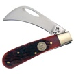 CCN-090929 - Show Sample Red Pick Bone Little Hawkbill