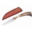 CCN-09512 - Show Sample Steel Stag Skinner (1pc)
