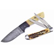 CCN-101787 - Valley Forge Damascus Hunter (1pc)