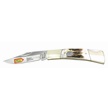 CCN-104734 - Stag Barracuda (1pc)