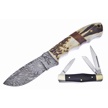 CCN-104816 - Valley Forge Damascus Stag(2pcs)