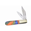CCN-105348 - Michael Prater Feather Macaw Barlow (1p