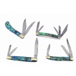 CCN-106631 - Crowing Rooster Abalone (4pcs)