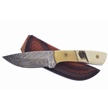 CCN-106928 - Trailsman Damascus Skinner (1pc)