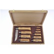 CCN-107575 - Opinel 10pc Collector's Case (1p