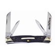 CCN-107881 - Winchester Swayback Congress (1p
